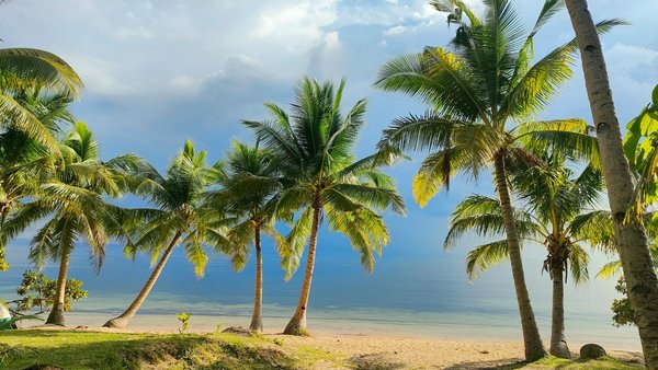 Vacances en grèce en famille : les meilleures destinations