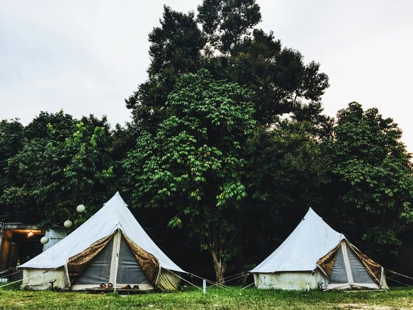 Où trouver les meilleures expériences de glamping dans la vallée du Douro, Portugal ?